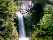 Mount Rainier National Park