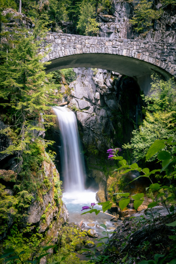 Mount Rainier National Park