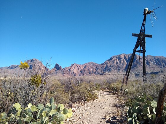 Big Bend National Park