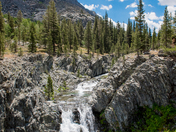 Kings Canyon National Park
