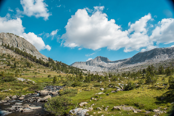 Kings Canyon National Park
