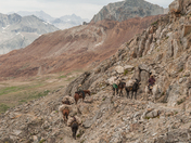 Kings Canyon National Park