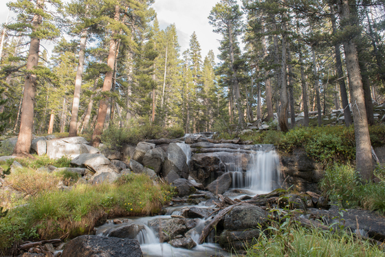  Kings Canyon National 