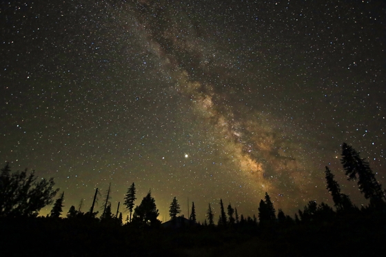 Deschutes National Forest