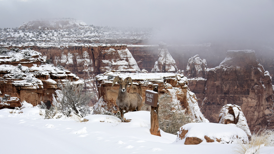 Colorado National Monument