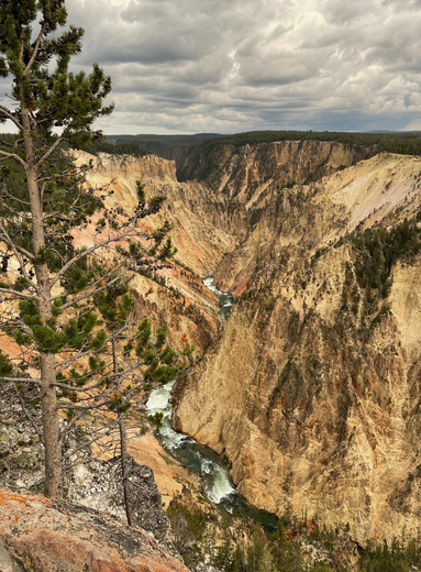 Yellowstone National Park