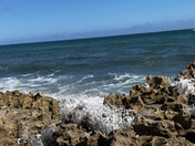 Blowing Rocks Preserve 