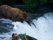 Katmai National Park and Preserve, Alaska