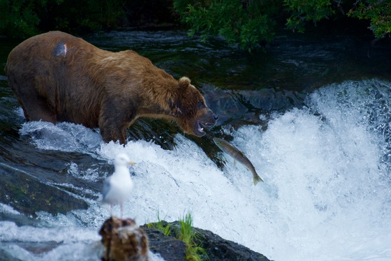 Katmai National Park and Preserve, Alaska
