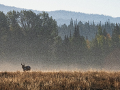 Grand Teton National Park