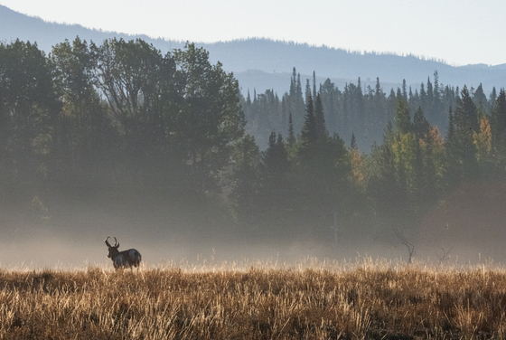 Grand Teton National Park