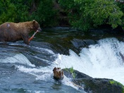Katmai National Park and Preserve, Alaska