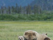 Lake Clark National Park and Preserve, Alaska
