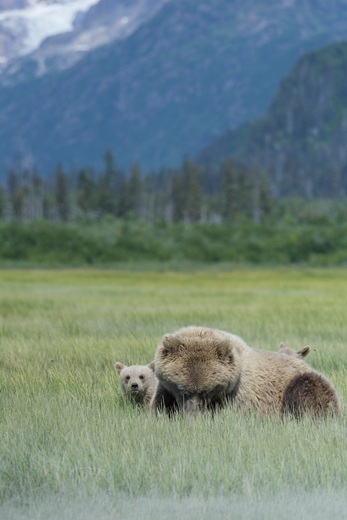 Lake Clark National Park and Preserve, Alaska
