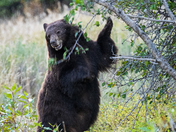 Grand Teton National Park