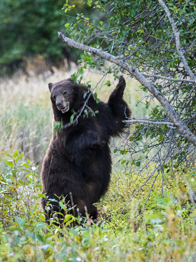 Grand Teton National Park