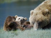 Lake Clark National Park and Preserve, Alaska