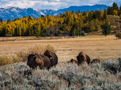 Grand Teton National Park