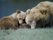 Lake Clark National Park and Preserve, Alaska
