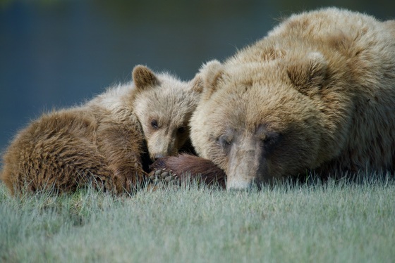 Lake Clark National Park and Preserve, Alaska