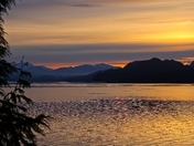 Tongass National Forest