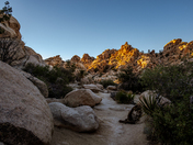 Joshua Tree National Park
