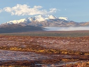 Denali National Park and Preserve