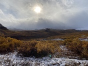 Denali National Park and Preserve