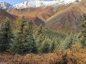 Denali National Park and Preserve