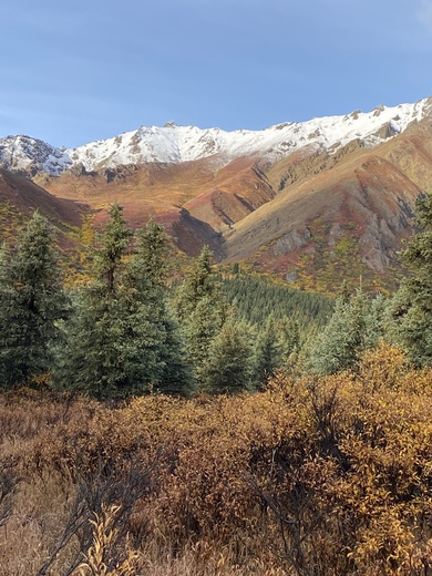 Denali National Park and Preserve