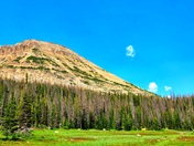 Uinta-Wasatch-Cache National Forest