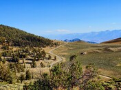 Inyo National Forest
