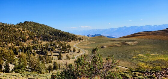 Inyo National Forest