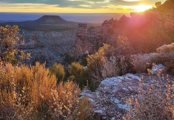 Grand Canyon National Park