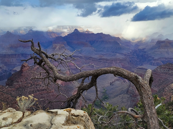 Grand Canyon National Park