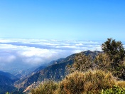 Angeles National Forest