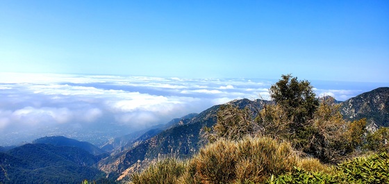 Angeles National Forest