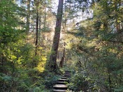 Olympic National Park