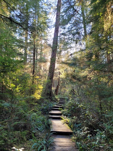 Olympic National Park