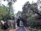 yosemite national park