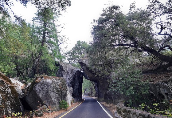 yosemite national park