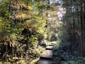 Olympic National Park