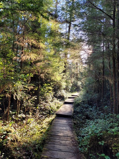 Olympic National Park