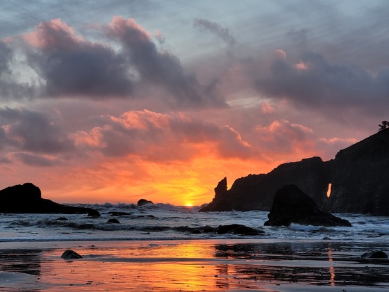 Olympic National Park