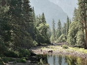 Yosemite National Park