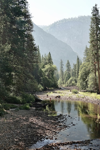 Yosemite National Park