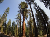 Yosemite National Park
