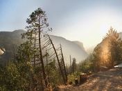Yosemite National Park