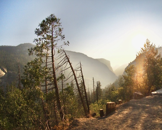 Yosemite National Park