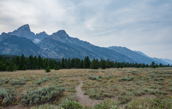 Grand Teton National Park
